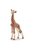 Schleich Yavru Zürafa Figür