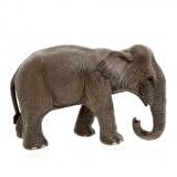 Schleich Dişi Asya Fili - 14753