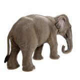Schleich Dişi Asya Fili - 14753