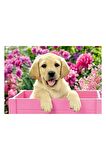 Ravensburger Yaşam 2x24 Parça Çocuk Puzzle