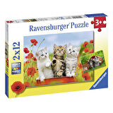 Ravensburger 2x12 Parça Puzzle Yavru Kediler 076260