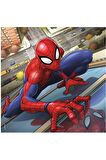 Ravensburger Yaşam 3x49 Parça Çocuk Puzzle