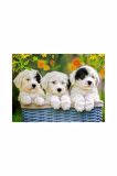 Ravensburger Yaşam 200 Parça Çocuk Puzzle