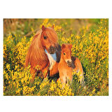 Ravensburger 100 Parça Puzzle Taylar 132836