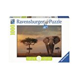 FABBATOYS Fil, 1000 Parça Puzzle