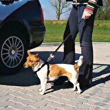 Trixie Köpek Emniyet Kemeri L 70-90cm