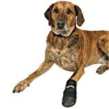 Trixie Köpek Patiği Neopren 2 Adet XL Siyah