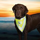 Trixie Köpek Bandanası Xs-S 22-28 cm