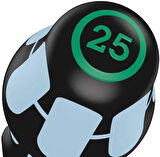 Wera 3367 TORX® Tornavida, Paslanmaz, TX 8 x 60 mm