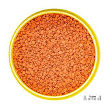 Jbl Pro Novo Bits Grano Medium 100 Gr Balık Yemi