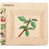 Beleduc Oluşum Puzzle - Elma