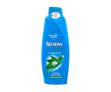 Blendax Isırgan Özlü Şampuan 550 ml-8690572787731