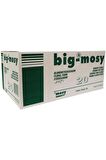 BİGMOSY
