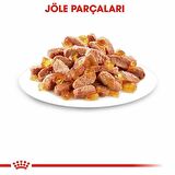 Royal Canin Kitten İnstinctive Jelly Yavru Kedi Konserve 6x85 Gr 