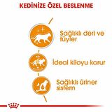 Royal Canin Intense Beauty Gravy Kedi Konservesi 6x85 Gr 
