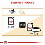 Royal Canin İntense Beauty Jelly Yetişkin Kedi Konserve 6x85 Gr 