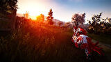 Black Desert Prestige Edition PS4