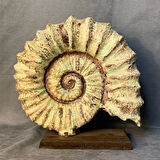 Uretti - Zehra 2303 - El Yapımı Dekoratif Deniz Kabuğu - Bej