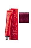 Igora Royal 9-98 Sarı Kızıl Saç Boyası - 60ml