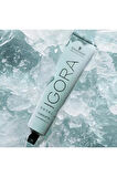 Schwarzkopf Igora Royal Highlifts Saç Boyası 60 Ml 12-19 Çok Açık Sarı Sandre Viyole