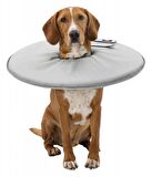Trixie Köpek/Kedi Yakalığı XS:23-27cm/13cm Gri
