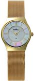 Skagen SKA233XSGG