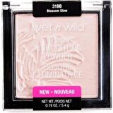 Megaglo Aydınlatıcı Pudra - E319b Blossom Glow