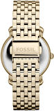Fossil ES3113