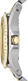 Fossil ES3204