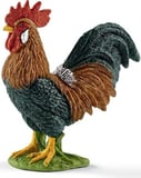 Imaginarium Ffa Gallo / Rooster