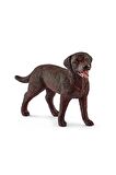 Schleich Dişi Labrador Retriever