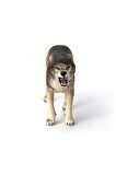 Schleich Kurt
