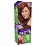 Wella Koleston Naturals Maxi 6 /34 Bakır Kumral