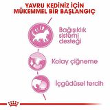 Royal Canin Kitten Gravy Yavru Kedi Konservesi 6x85 Gr 