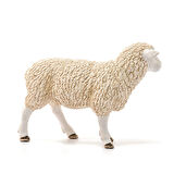 Schleich Koyun 13882