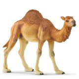 Schleich Hörgüçlü Deve - CWL14832