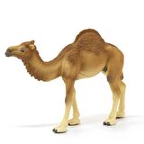 Schleich Hörgüçlü Deve - CWL14832