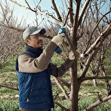Bosch Professional Pro Pruner Akülü Bahçe Makası (Solo) - 06019K1020