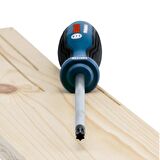 Bosch Profesyonel Torx Tornavida Seti 6 Parça 1600A01V09