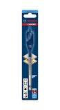 Bosch 18x152 mm Expert Yaprak Matkap Ucu 2608900317