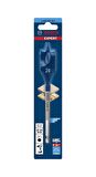 Bosch 24x152 mm Expert Yaprak Matkap Ucu 2608900321