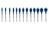 Bosch 10-32 mm 13’lü Expert Yaprak Matkap Ucu Seti 2608900336