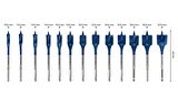 Bosch 10-32 mm 13’lü Expert Yaprak Matkap Ucu Seti 2608900336