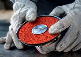 Bosch R782 Expert 125 mm 60 kum Paslanmaz Disk Zımpara 2608621809
