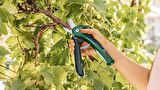 Bosch EasyPrune Akülü Dal Budama Bahçe Makası (Klasik Yeşil) - 06008B2102