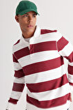 Standart Fit Normal Kesim Polo Yaka Pamuklu Sweatshirt