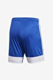 Adidas Tastigo 19 ADDP3682 Erkek Futbol Şortu