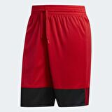 Adidas Erkek Basketbol Şort 3G Spee Rev Shr Dy6596
