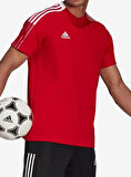 Adidas Tiro21 Polo Erkek Polo Yaka Tişört