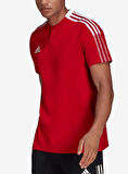 Adidas Tiro21 Polo Erkek Polo Yaka Tişört